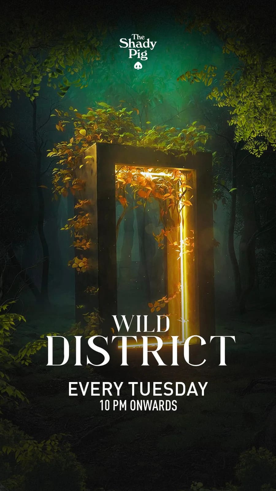 Wild District event flyer