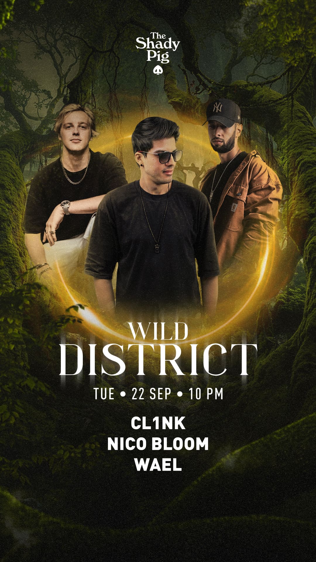WILD DISTRICT event flyer